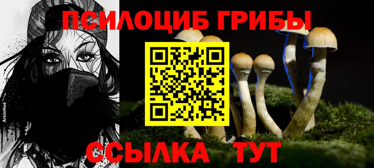 Галлюциногенные грибы GOLDEN TEACHER  Вход с VPN  Псилоцибиновые грибы мицелий  Ивантеевка 